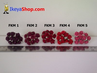FKM 1 5  large2